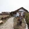 Атамань