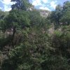 Гуамское ущелье 2018